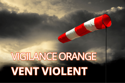 Vigilance orange vent violent